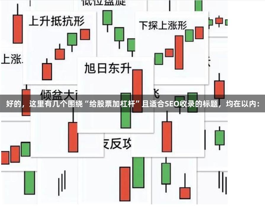 好的，这里有几个围绕“给股票加杠杆”且适合SEO收录的标题，均在以内：